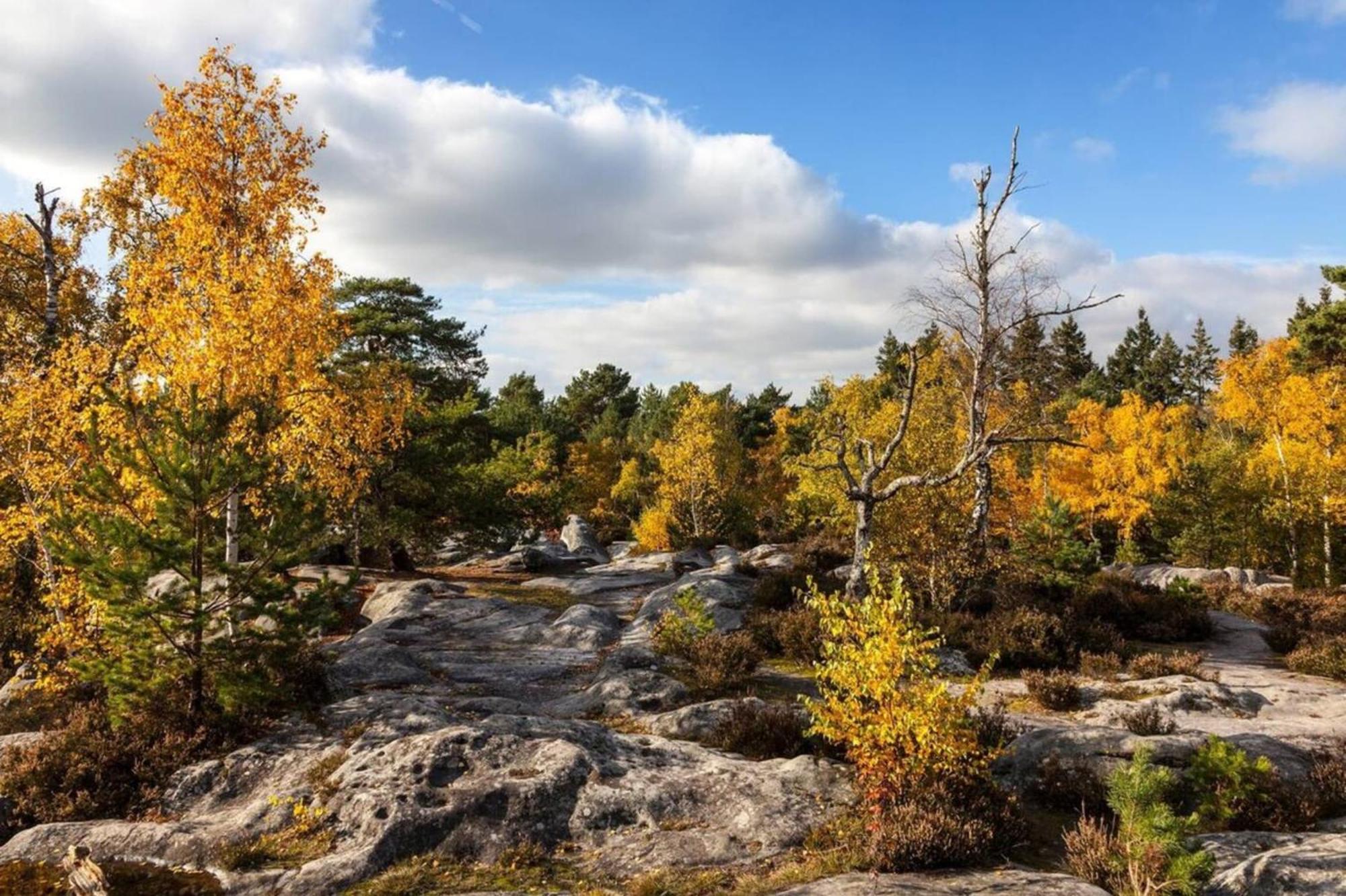 Appartamento Fontainebleau - Chez Andrea Esterno foto